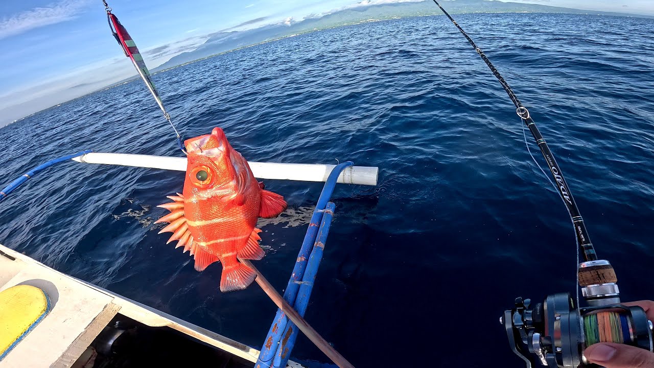 Japanese Bigeye Soldierfish