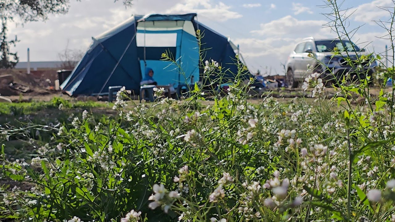 كلينا أول حاجة زرعناها في السانية.. وكملنا زرعنا قبل رمضان 🥑🏕️ربي يثبت وينبت ويرزقنا من خيرها ☘️✨