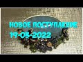 Новое поступление 19-03-2022