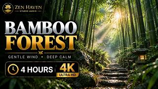 🎋 4 Hour Bamboo Forest | Gentle Wind & Nature Sounds for Meditation, Focus & Relaxation | 4K screenshot 1