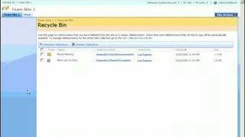 Recycle Bin in SharePoint