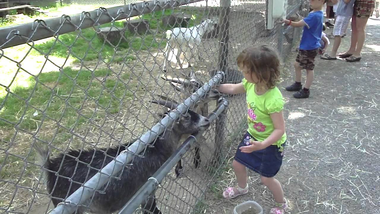 Afternoon at Happy Rolph's