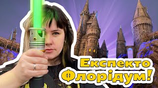 Витратила всі гроші на Діснейленд? Купила крокодила? Огляд 3 парків; Маямі біч та таргани в готелі.