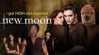 i got HIGH and watched New Moon...
