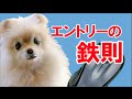FX 勝率に悩むトレーダーに贈るエントリーの鉄則。