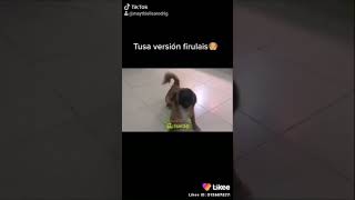 Parodia De Tusa