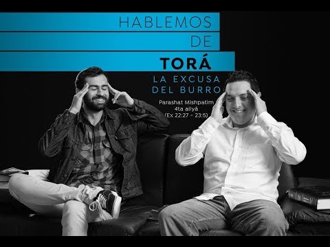 Mishpatim - La excusa del burro