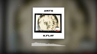K.Flay - Ants