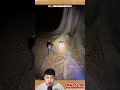 Viral! Penampakan Jin Pohon Penunggu Pohon Keramat! #m4zsda #shortvideos #shorts #reaction