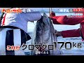 大間のまぐろ 竜神［第3巻|はえ縄 特大クロマグロ］マグロ漁師 晴芳丸 南兄弟 死闘の決戦 冬の陣 巨大まぐろを追いかける 延縄漁 釣り 漁船 おおま りゅうじん