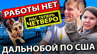 В дальнобое нет работы - застряли в Техасе | Наш новый пассажир | Работа на фуре в Америке