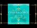   musique puissante chakra gorge 741hz   i dblocage des chakras relaxation lithothrapie