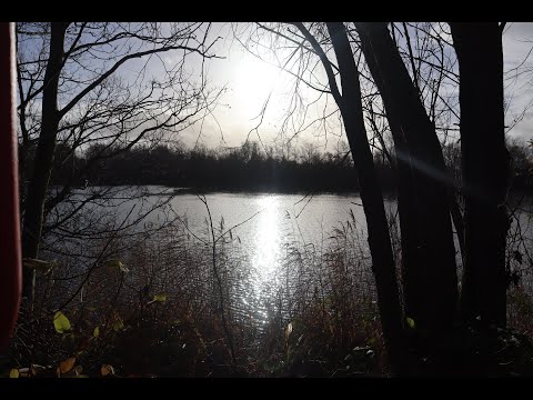 Bromham Lakes Local Nature Reserve (Bedfordshire)