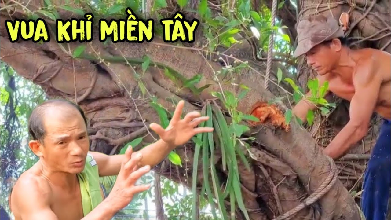 Amazing how to master of chainsaw cut down a giant tree - YouTube