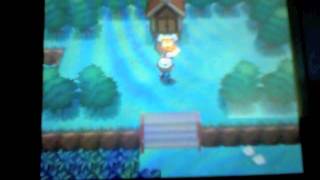 How to: Catch Landorus screenshot 5