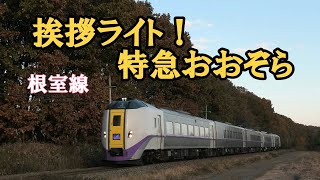 秋！　警笛、挨拶してくれた。キハ261系特急おおぞら８号　日没の根室線にて