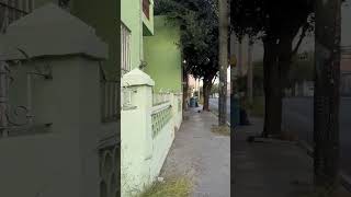 Green House On Quiet Mexico Street