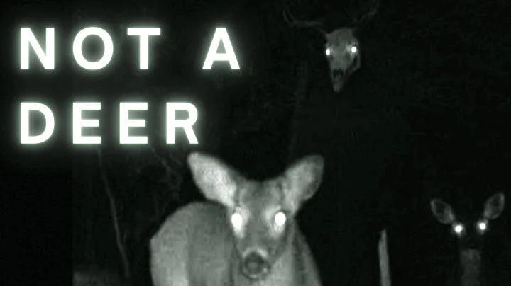 It Followed Me Home... | Horrifying Reddit Story