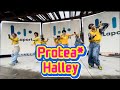 Halley/Protea*(バイプロテア) 【2025.10.11@ららぽーと富士見】
