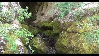 L&#39;Esprit Canoë - source aux Fées sortie des entrailles des gorges de l’Ardèche avec Estas Tonne