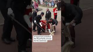 Soldier faints at Windsor Castle screenshot 3