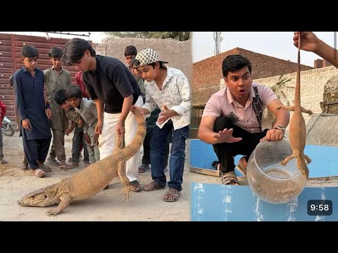  Big Lizard Ko Pakar Lea 😱