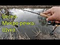 Ловля щуки весной . На что клюёт весенняя щука?