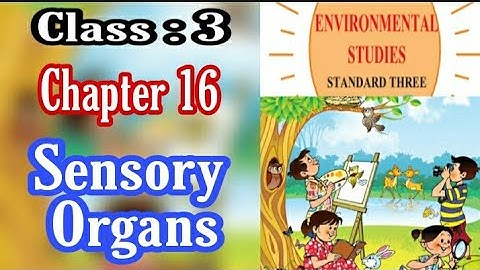 Sensory Organs | Environmental studies | chapter 16 | class 3 | Maharashtra Board | Std 3