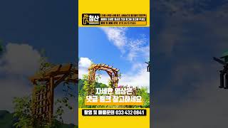 국유지 송림숲 둘러싼 자리! 120여종의 수목과 사계절 돌아가면서 피어나는 40여종의 화초로 채워진 정원 속 전원주택 홍천부동산 #홍천부동산 #강원도토지매매 #토지매매 #강원도