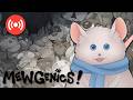 【Mewgenics】Playing so well they call this MogGenics