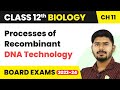 Processes of Recombinant DNA Technology - Biotechnology Principles and Processes | Class 12 Biology
