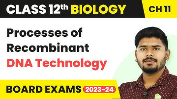 Processes of Recombinant DNA Technology - Biotechnology Principles and Processes | Class 12 Biology