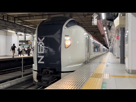 E259系Ne021編成が回送電車として何も鳴らさずに新宿駅5番線を発車するシーン（回2246M）2022.7.12