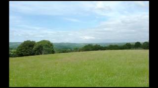 Royalty Free Music - Free Happy Ukulele Background Music