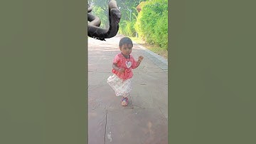 Big snake chasing baby 🐍😱 #shorts #bigsnake #snake