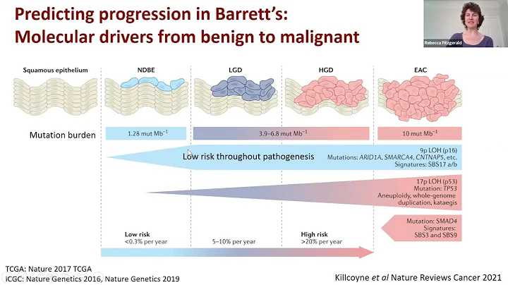 Stanford Radiology: CEDSS (Spring) 2022, Fitzgeral...