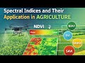 Spectral Indices in Agriculture | NDVI, EVI, SAVI Explained | Remote Sensing for Crop Monitoring 🌱
