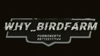 Download Lagu MASTERAN CILILIN JERNIH JEDA 1 MENIITT GAMPANG MASUKK MP3