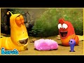 LARVA | GUM | CARTOON MOVIE FOR LIFE |THE BEST OF CARTOON | HILARIOUS CARTOON COMPILATIO