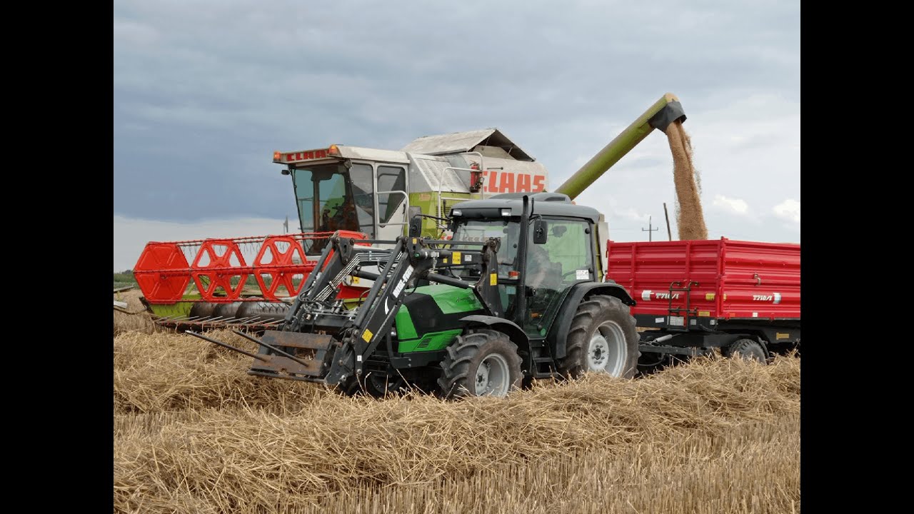 Żniwa2021.Pszenica pod kosę. Claas dominator 98sl Maxi, Ursus4514, Deutz Fahr.