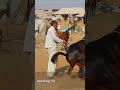 high heel origins and evolution