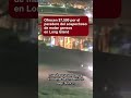 En Long Island se ofrece una recompensa por paradero del sospechoso de matar gansos