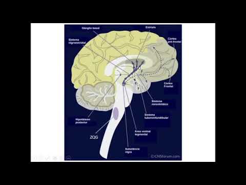 Vídeo: Eficácia, Qualidade De Vida E Resultados De Aceitabilidade Do Tratamento Antipsicótico Atípico Para Aumento Da Depressão Resistente Ao Tratamento: Protocolo Para Uma Revisão Sistem