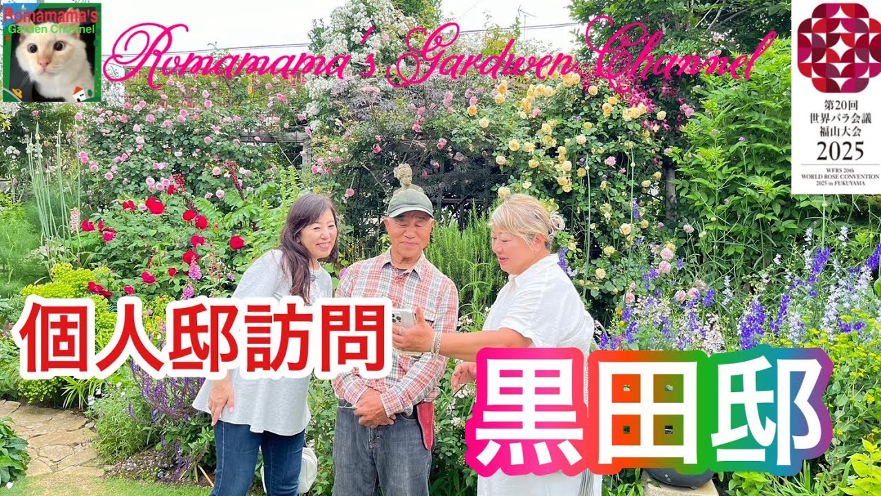 【個人庭】　憧れの庭　黒田さんのお庭をバラ愛好者目線で紹介　