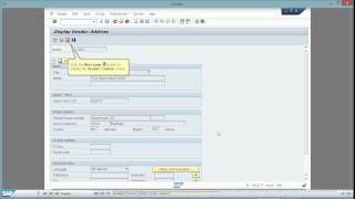 SAP WPB Display Vendor Master Simulation in Demo Mode