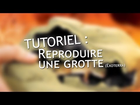 Instant tuto #1 - Reproduire une grotte exoterra