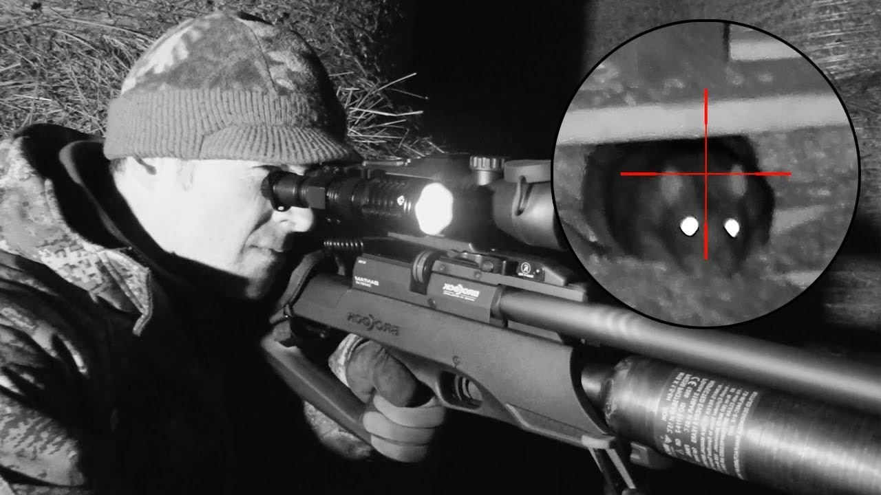 The Airgun Show Awesome night vision rat hunt, PLUS the Zbroia Kozak