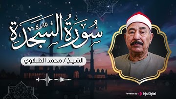 سورة السجدة .. كل حرف نور، وكل آية سكينة 🤍