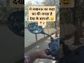 लखनऊ के घूमने वाली जगहाये.!लखनऊ! घूमो! #entertainment_adda01 #shortsfeed #youtube #shorts #short