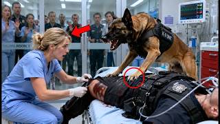 They Left the Nurse Alone With an Aggressive Service K9 What Happened Next Left Everyone Speechless!
